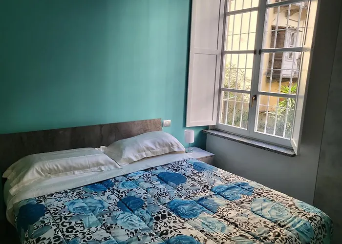 Ma Maison Iris