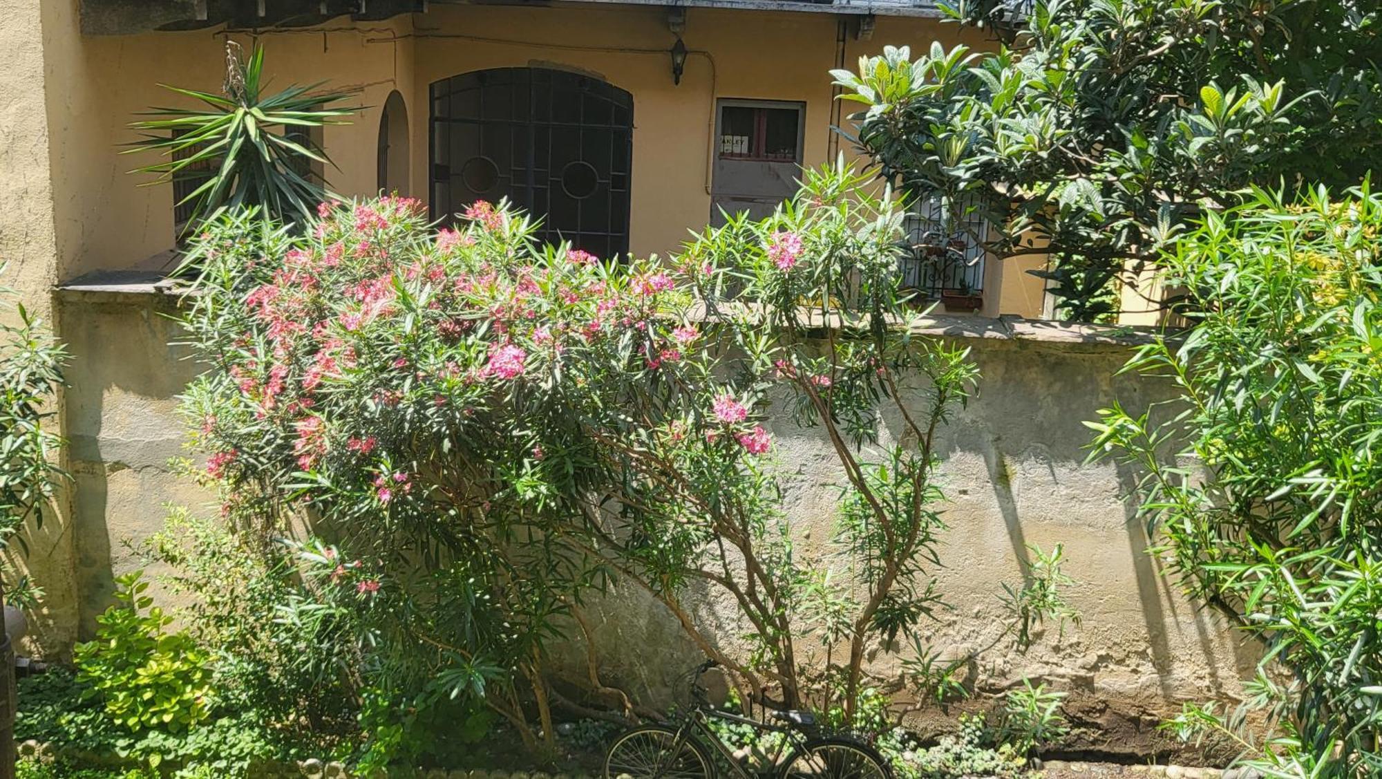 Ma Maison Iris