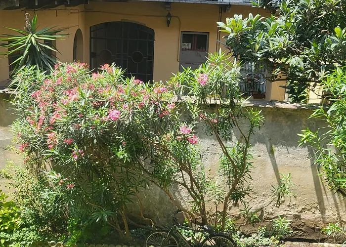 Ma Maison Iris