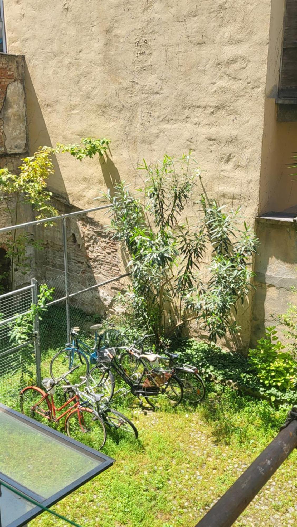 Ma Maison Iris * Turijn